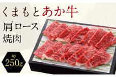 くまもと あか牛 肩ロース 焼肉 約250g 赤牛 あかうし