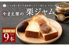 【3ヶ月定期便】栗 ジャム やまえ栗 200g×3本