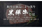 くまもと黒毛和牛 杉本本店 黒樺牛 A4~A5等級 ロースステーキ 200g×2 計400g