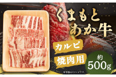 くまもと あか牛 カルビ 焼肉用 約500g×1パック