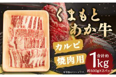 くまもと あか牛 カルビ 焼肉用 約1kg (約500g×2パック)