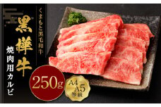 くまもと黒毛和牛 黒樺牛 A4~A5等級 焼肉用 カルビ 250g