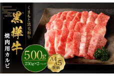 くまもと黒毛和牛 黒樺牛 A4~A5等級 焼肉用 カルビ 250g×2 計500g