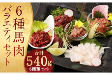 6種 馬肉バラエティ 約540g