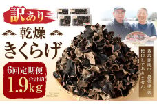 【6ヶ月定期便】【訳あり】乾燥 きくらげ 320g