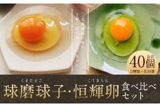 「球磨球子」「恒輝卵」各20個　計40個の食べ比べ 2種 くまたまご こうきらん 卵 たまご 玉子 お取り寄せ（破損保証有り）