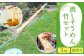 循環式 流しそうめん 竹セット 3m