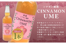スパイス＆焼酎 シナモン梅酒 700ml×1本 お酒 酒 アルコール 焼酎 梅酒 シナモン スパイス 