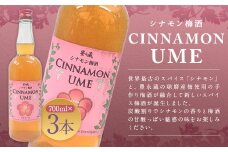 スパイス＆焼酎 シナモン梅酒 700ml×3本 計2100ml お酒 酒 アルコール 焼酎 梅酒 シナモン スパイス 