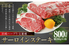 宮崎 ハーブ牛 交雑種 サーロインステーキ 約800g （ 約200g × 4枚 ） 肉 お肉 牛 牛肉 サーロイン ステーキ 冷凍 国産
