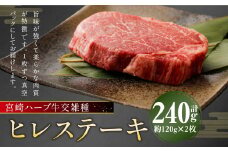 宮崎 ハーブ牛 交雑種 ヒレステーキ 約240g （ 約120g ✕ 2枚 ） 肉 お肉 牛 牛肉 ヒレ ステーキ 冷凍 国産
