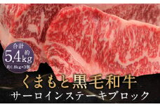 くまもと黒毛和牛 サーロインステーキ ブロック 約5.4kg ステーキ 肉