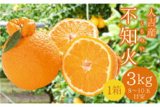 人吉産 不知火（しらぬい）3kg フルーツ 果物 くだもの 柑橘 デコポン でこぽん お取り寄せ【2026年1月上旬～2月上旬発送予定】