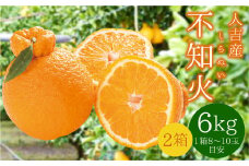 人吉産 不知火（しらぬい）6kg（3kg×2箱）フルーツ 果物 くだもの 柑橘 デコポン でこぽん お取り寄せ【2026年1月上旬～2月上旬発送予定】