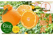 【贈答用】人吉産 不知火 （しらぬい） 6kg フルーツ 果物 くだもの 柑橘 デコポン でこぽん お取り寄せ【2025年12月下旬発送予定】