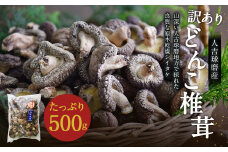 人吉球磨産 しいたけ 訳あり『どんこ』 椎茸 500g 干し椎茸 干ししいたけ 乾椎茸
