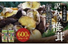 人吉球磨産 しいたけ 訳あり 『業務用椎茸』 300g×2袋【計600g】 干し椎茸 干ししいたけ 乾椎茸