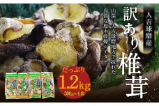 人吉球磨産 しいたけ 訳あり 『業務用椎茸』 300g×4袋【計1.2kg】 干し椎茸 干ししいたけ 乾椎茸 お取り寄せ