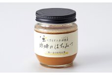 人吉球磨産『幻の地蜜の蜂蜜』200g 1個 はちみつ ハチミツ 蜂蜜 お取り寄せ