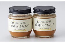 人吉球磨産『幻の地蜜の蜂蜜』200g 2個 蜂蜜 はちみつ ハチミツ お取り寄せ