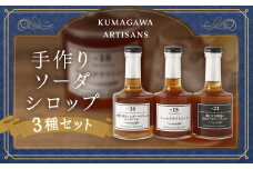 手軽にcafe気分 手作り ソーダ シロップ 3種 セット 有機 生姜 エルダーフラワー ハーブ クラフト コーラ パール柑 甘夏 不知火 梅 はちみつ 日本蜜蜂
