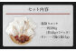 鮮馬刺し 霜降り(カルビ) ユッケ 7個 セット 280g