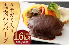 FNタテガミ入り 馬肉 ハンバーグ（デミソース）8個セット 馬肉 お肉 惣菜 ハンバーグ タテガミ コウネ ソース付 お取り寄せ 簡単調理