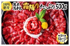 熊本馬刺し 霜降りたっぷり500g 約50g×10パック 専用醤油付き 霜降り 中トロ お取り寄せ