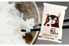 【令和6年産】人吉球磨産 森のくまさん 5kg（精米）