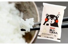【令和6年産】人吉球磨産 森のくまさん 5kg（精米）