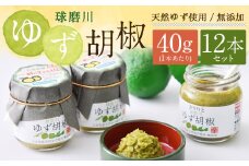絶品！人吉球磨の『球磨川 ゆず胡椒』 40g×12本 セット 計480g 柚子胡椒 ゆず 柚子 コショウ 調味料 手作り 国産 九州産 熊本県産