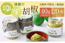 絶品！人吉球磨の『球磨川 ゆず胡椒』 40g×20本 セット 計800g 柚子胡椒 ゆず 柚子 コショウ 調味料 手作り 国産 九州産 熊本県産