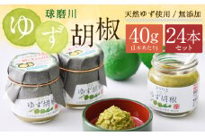 絶品！人吉球磨の『球磨川 ゆず胡椒』 40g×24本 セット 計960g 柚子胡椒 ゆず 柚子 コショウ 調味料 手作り 国産 九州産 熊本県産