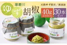 絶品！人吉球磨の『球磨川 ゆず胡椒』 40g×30本 セット 計1200g 柚子胡椒 ゆず 柚子 コショウ 調味料 手作り 国産 九州産 熊本県産