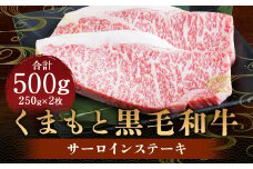 くまもと 黒毛和牛 サーロインステーキ 500g （250g×2パック） 肉 牛肉 お肉 サーロイン ステーキ ステーキ用 和牛 国産牛 冷凍 国産 九州産 熊本県産