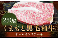 くまもと 黒毛和牛 サーロインステーキ 250g 肉 牛肉 お肉 サーロイン ステーキ ステーキ用 和牛 国産牛 冷凍 国産 九州産 熊本県産