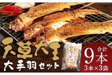 熊本 天草大王 大手羽9本（3本×3） 手羽 鶏肉 肉 鶏 地鶏 バーベキュー 串 国産 冷凍 熊本県 人吉市