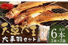 熊本 天草大王 大手羽6本（3本×2） 手羽 鶏肉 肉 鶏 地鶏 バーベキュー 串 国産 冷凍 熊本県 人吉市
