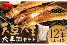 熊本 天草大王 大手羽12本（3本×4） 手羽 鶏肉 肉 鶏 地鶏 バーベキュー 串 国産 冷凍 熊本県 人吉市