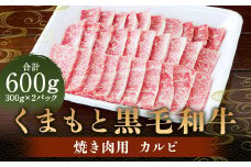 くまもと黒毛和牛 焼き肉用カルビ 600g （300g×2） 肉 お肉 牛肉 和牛 カルビ 焼肉 国産 熊本県 人吉市