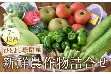 ひとよし球磨産 新鮮農作物詰合せ 【2025年12月上旬-下旬発送予定】 旬 生鮮品 野菜 農作物 お取り寄せ セット 産地直送