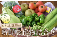 ひとよし球磨産 新鮮農作物詰合せ 【2025年3月上旬-下旬発送予定】 旬 生鮮品 野菜 農作物 お取り寄せ セット 産地直送