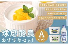 球磨酪農おすすめセットA（瓶牛乳&ヨーグルト加糖・砂糖不使用）瓶牛乳900ml×1個 ヨーグルト2種×各1kg 合計2.9kg 瓶牛乳 球磨のめぐみ 球磨の恵み ヨーグルト 冷蔵 乳製品 お取り寄せ 九州 人吉市 