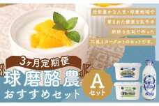【3ヶ月定期便】球磨酪農おすすめセットA（瓶牛乳&ヨーグルト加糖・砂糖不使用）瓶牛乳900ml×1個×3回 ヨーグルト2種×各1kg×3回 合計8.7kg 瓶牛乳 球磨のめぐみ 球磨の恵み ヨーグルト 冷蔵 乳製品 お取り寄せ 九州 人吉市