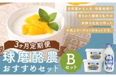 【3ヶ月定期便】球磨酪農おすすめセットB（瓶牛乳&ヨーグルト加糖×2個） 瓶牛乳900ml×1個×3回 ヨーグルト加糖1kg×2個×3回 合計約8.7kg 瓶牛乳 球磨のめぐみ 球磨の恵み ヨーグルト 冷蔵 乳製品 お取り寄せ 九州 人吉市