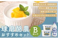 球磨酪農おすすめセットB（瓶牛乳&ヨーグルト加糖×2個） 瓶牛乳900ml×1個 ヨーグルト加糖1kg×2個 合計約2.9kg 瓶牛乳 球磨のめぐみ 球磨の恵み ヨーグルト 冷蔵 乳製品 お取り寄せ 九州 人吉市
