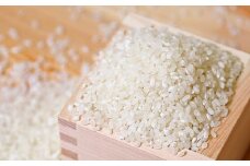 【新米予約受付中】【令和7年産】 にこまるちゃん （5kg×2） 合計10kg 米 お米 新米 白米 【2025年11月上旬～下旬発送予定】
