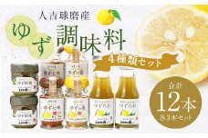 ゆず胡椒 40g ゆずたれ 75g ゆず七味 25g ゆず香塩 25g ×各3本セット【計12本】 柚子胡椒 七味 ゆず 柚子 タレ 塩 調味料