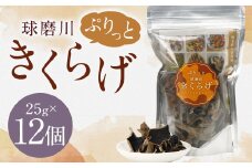 新発売！人吉球磨産の『ぷりっと球磨川きくらげ』25g×12ヶセット きくらげ キクラゲ 木耳 乾燥きくらげ 国産