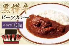 黒樺牛ビーフカレー200g×10パック